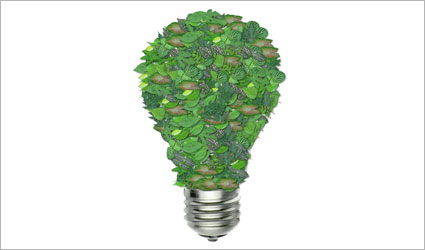 Biomass/Cogeneration